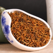 福建金駿眉紅茶95%黃芽茶葉250g 免運費