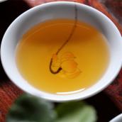 福建金駿眉紅茶95%黃芽茶葉250g 免運費