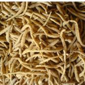 農家自種特級太子參 自然曬乾 生津健脾開胃 孩兒參 福建特產500g 免運費 