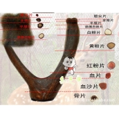 梅花鹿鹿茸片血片干鹿茸頭茬切片500g 免運費