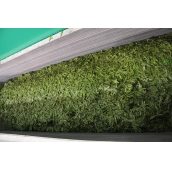 2014年新茶 浙江西湖明前特級龍井茶 500g 免運費 